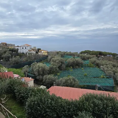 Hotel Il Nido Sorrento-2
